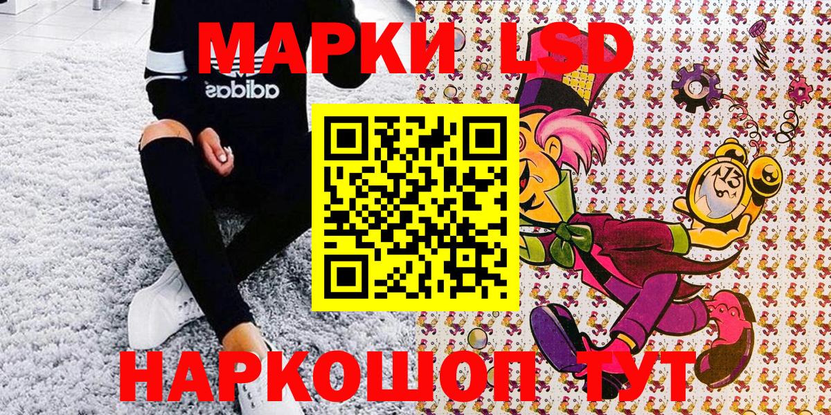 где купить наркотик  Наркотические марки 1,8мг  Шатура  Вход с VPN  Наркотические марки 1,8мг 